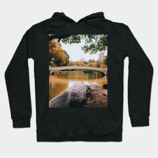 New York Central Park 2 Hoodie